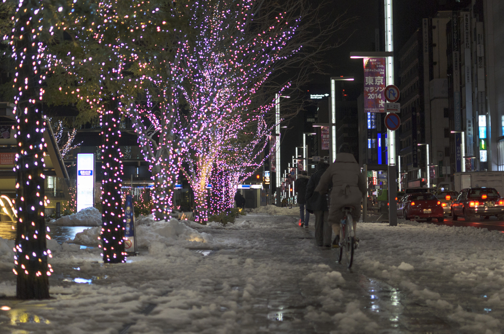 雪解けの一本道