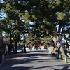 松の門前