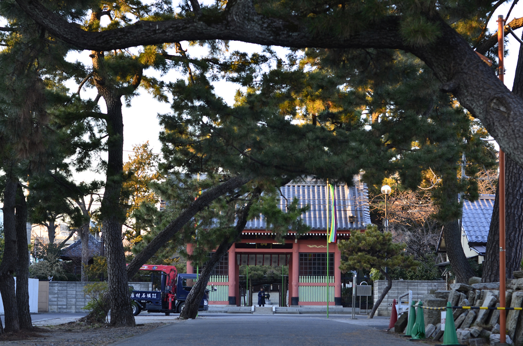 善養寺 門前夕景