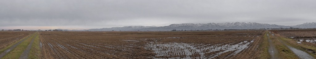 田舎
