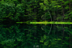 緑の世界