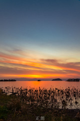 _NO24571-1