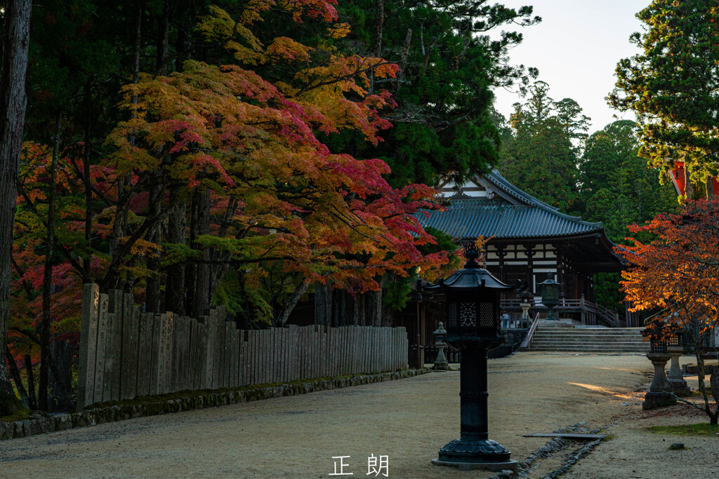秋