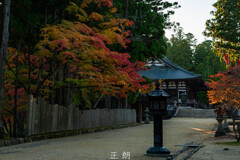 秋