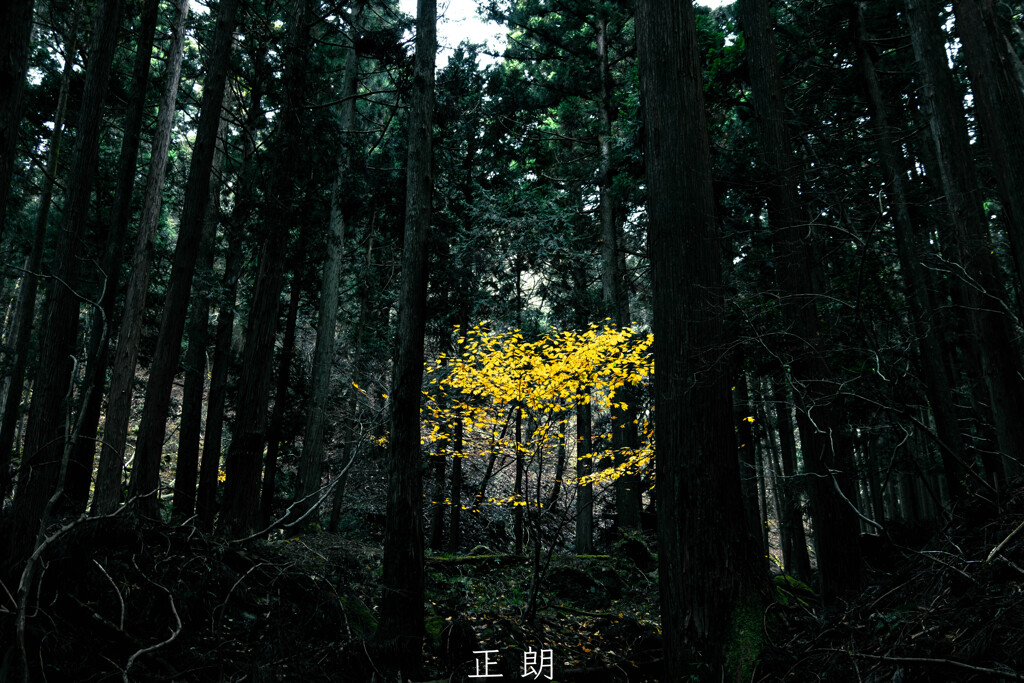 輝き