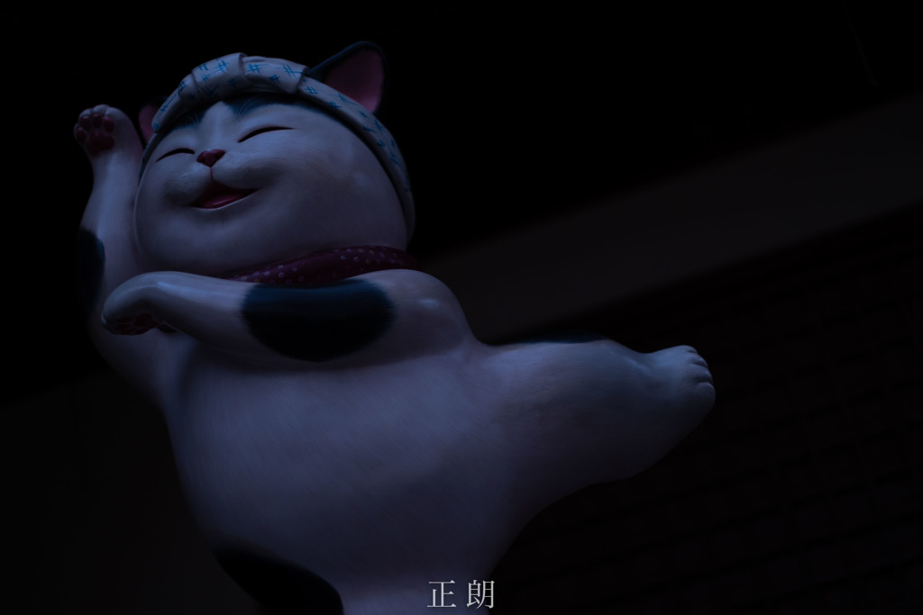 ダンシングねこ