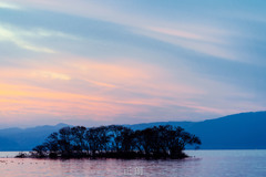 _DSC9652-1