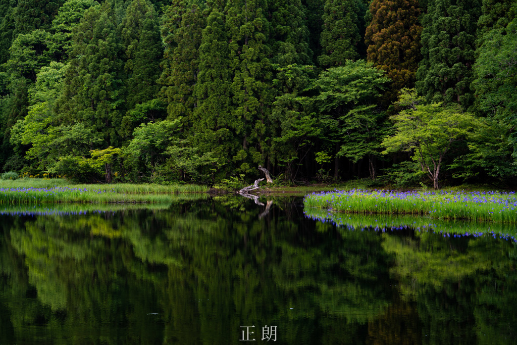 平池