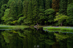 平池
