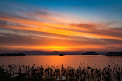 _NO24569