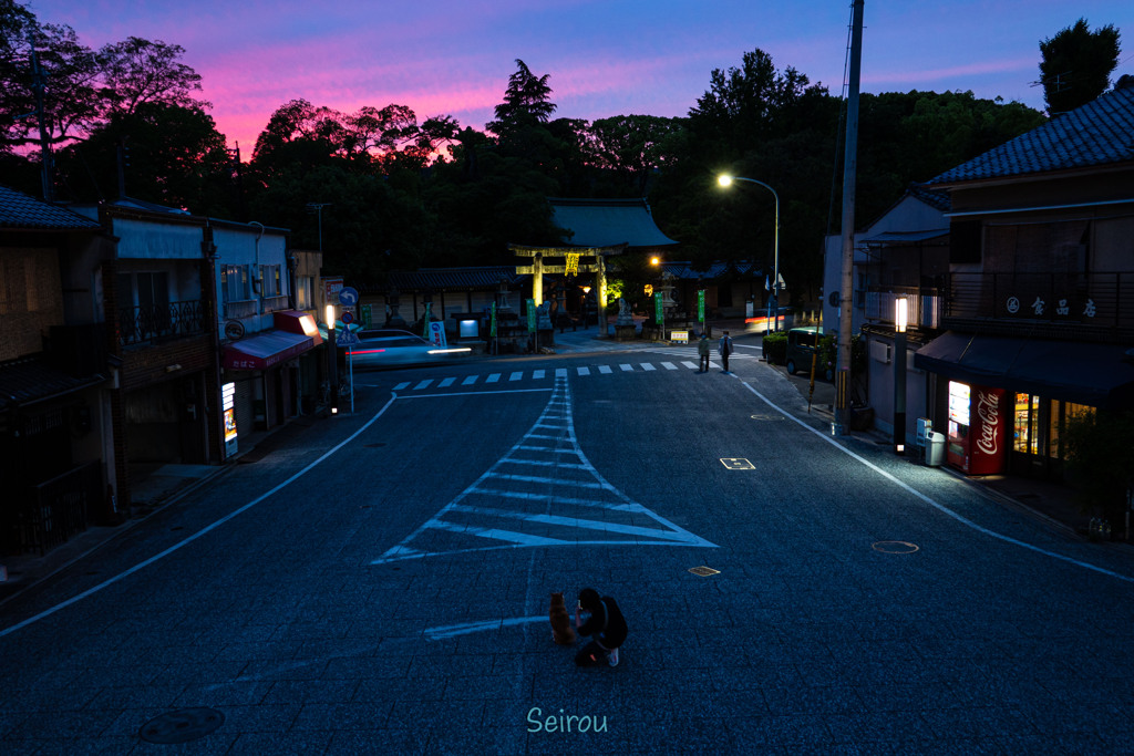 わんこと夕焼け