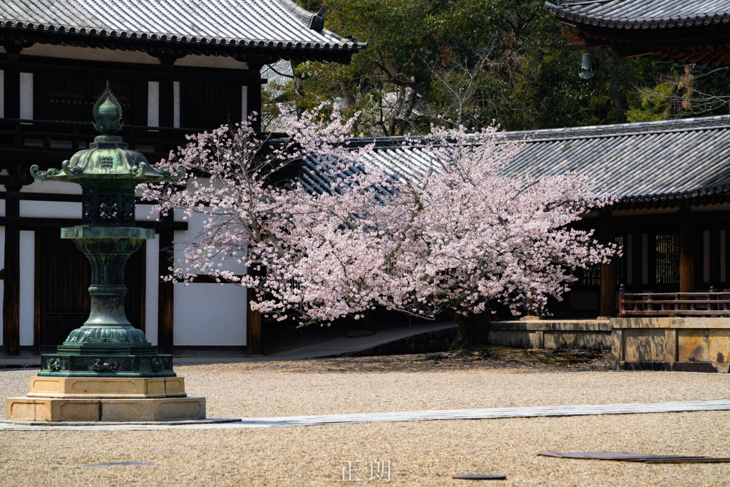 日本