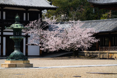 日本