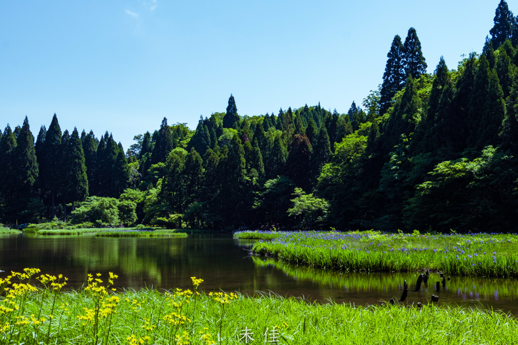 平池