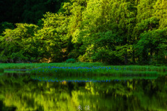 平池
