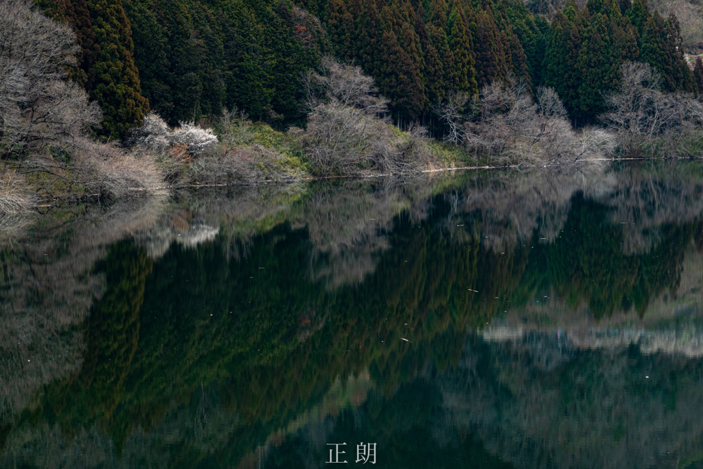 ダム湖