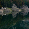 ダム湖