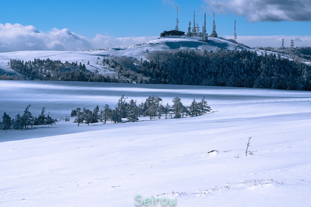 雪原