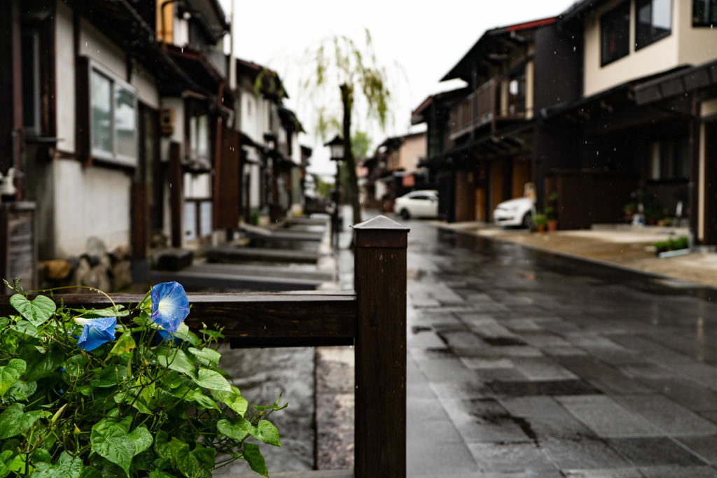 飛騨古川 秋雨