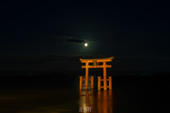 鳥居と満月