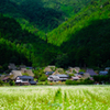 美山
