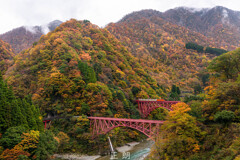 黄葉とトロッコ電車