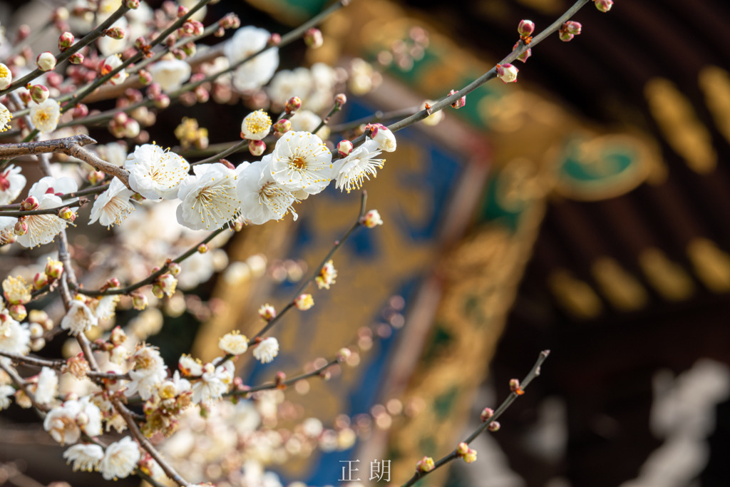 北野天満宮