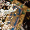 北野天満宮