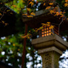 日本