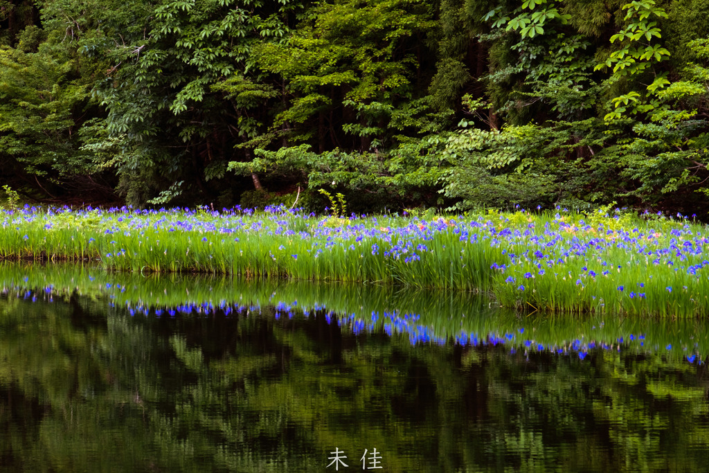 平池