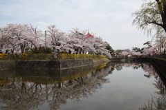 鶴岡公園