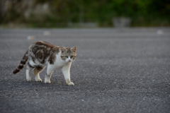 DSC_7577_00007