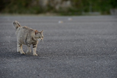 DSC_7572_00005