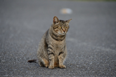 DSC_7566_00003
