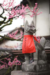 京都スナップ