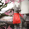 京都スナップ