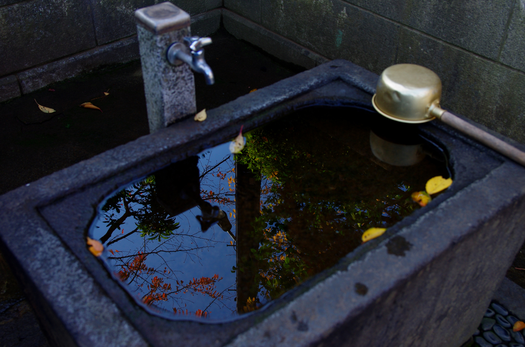 冷たそうな水
