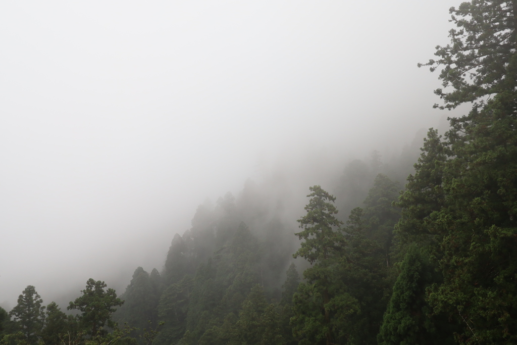 比叡山  霧と雨雲