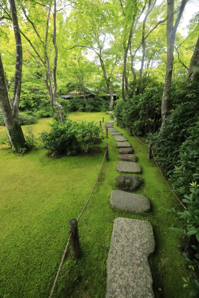 茶室に続く道