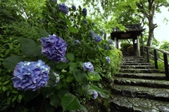 善峯寺