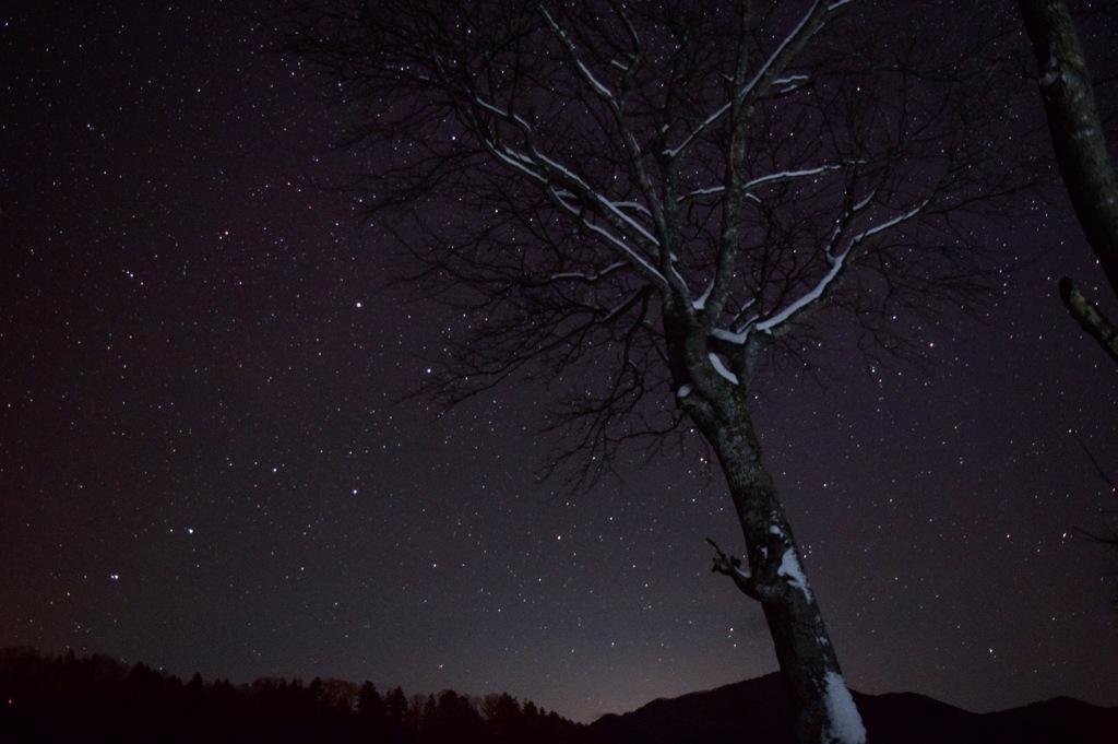 初めての星空