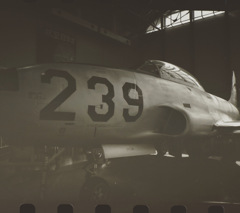 T33