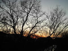 夕暮れ時