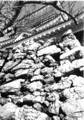出世城