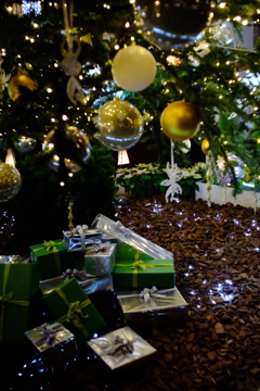 ツリーイルミネーション