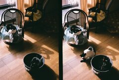 なんとなくセレブ