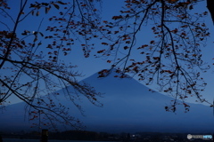 富士