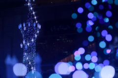 光のうみへ