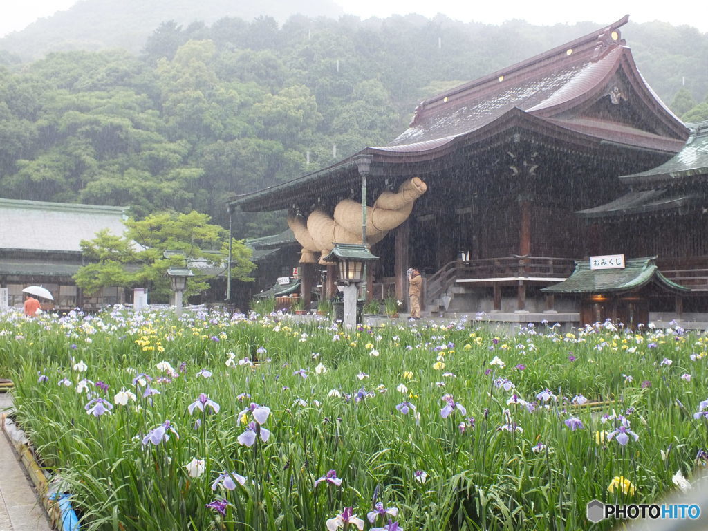 雨と神社