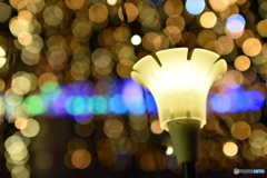 夜花